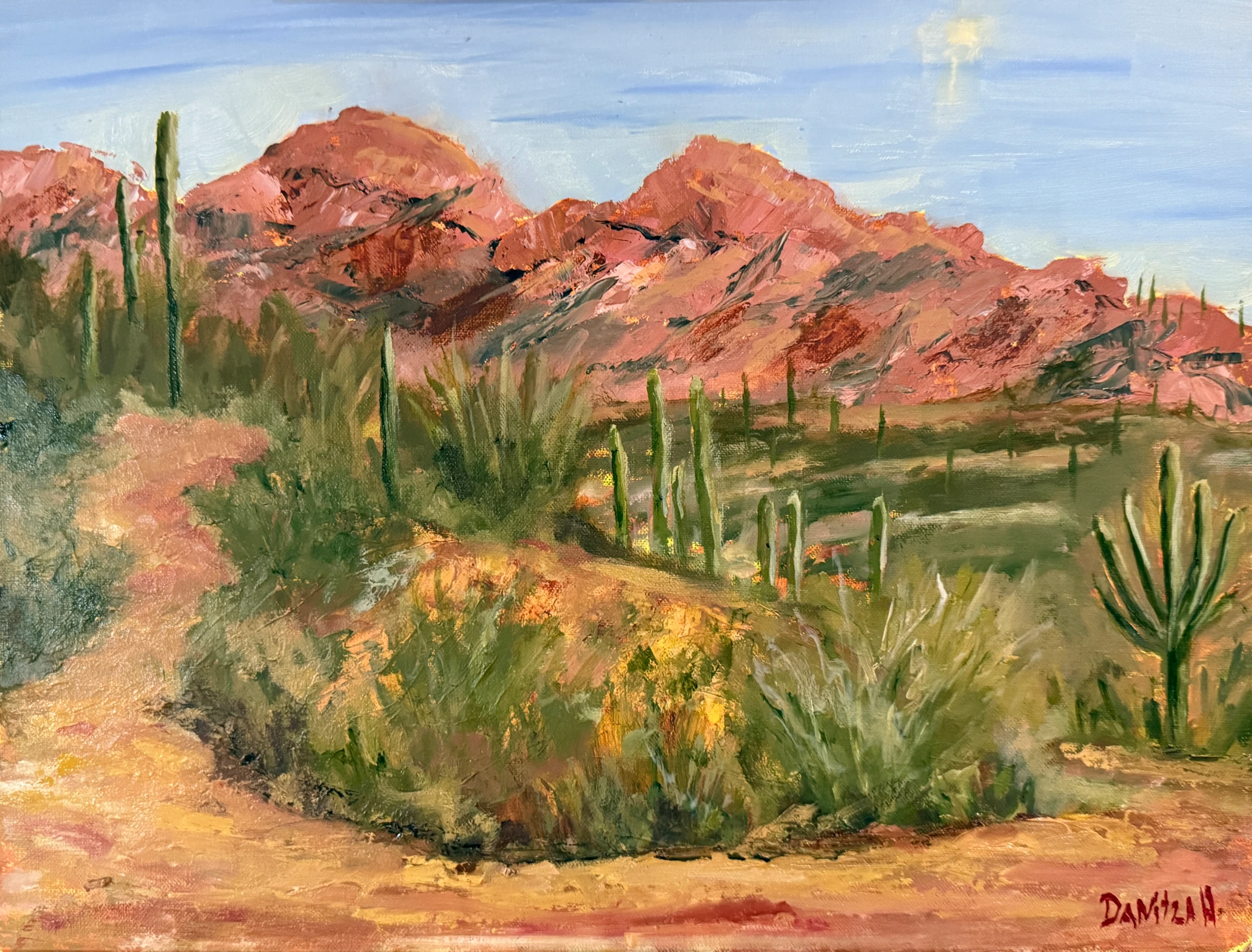 Danitza Hill — featured work